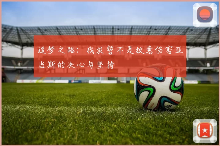 追梦之路：我发誓不是故意伤害亚当斯的决心与坚持